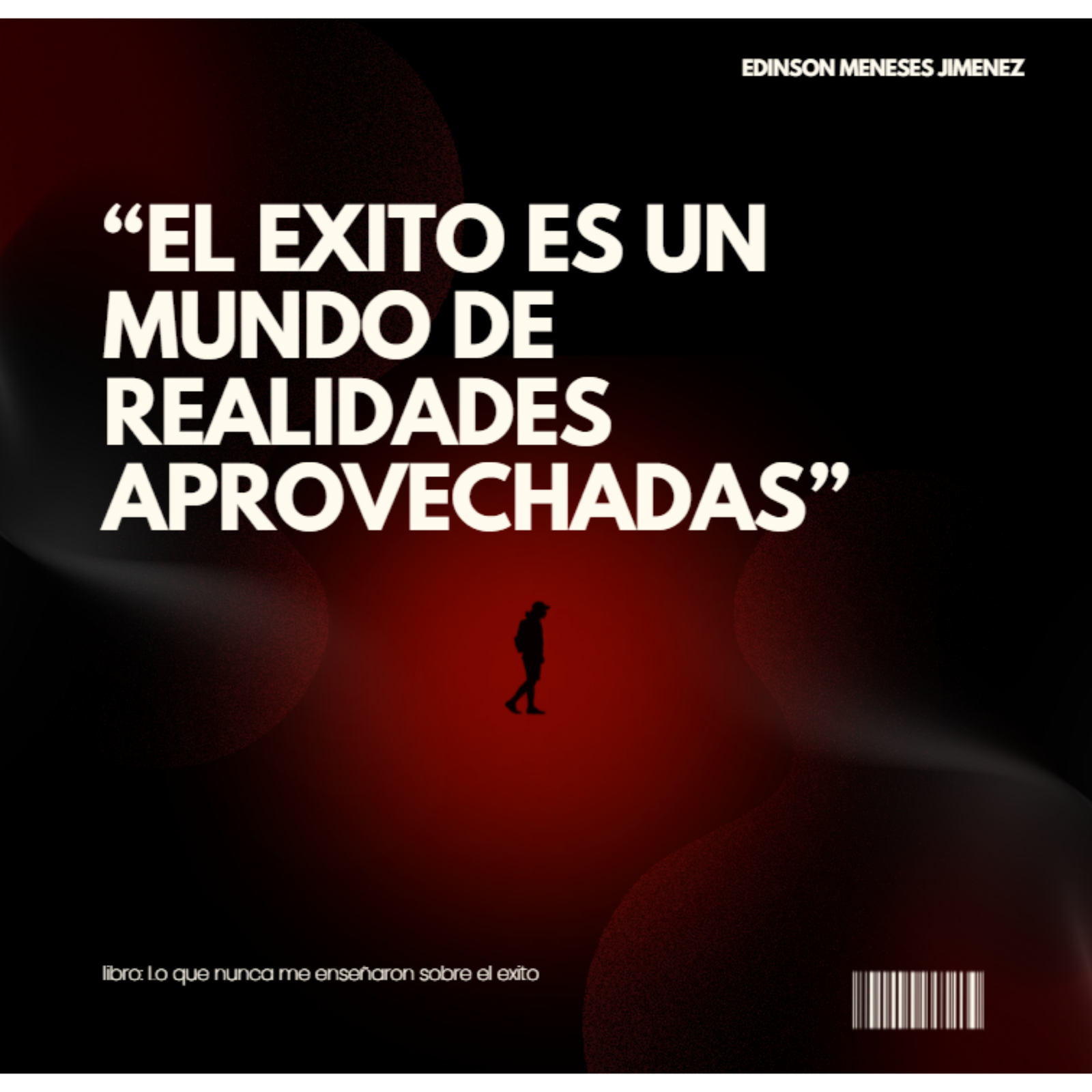 Lo que no me enseñaron sobre el éxito